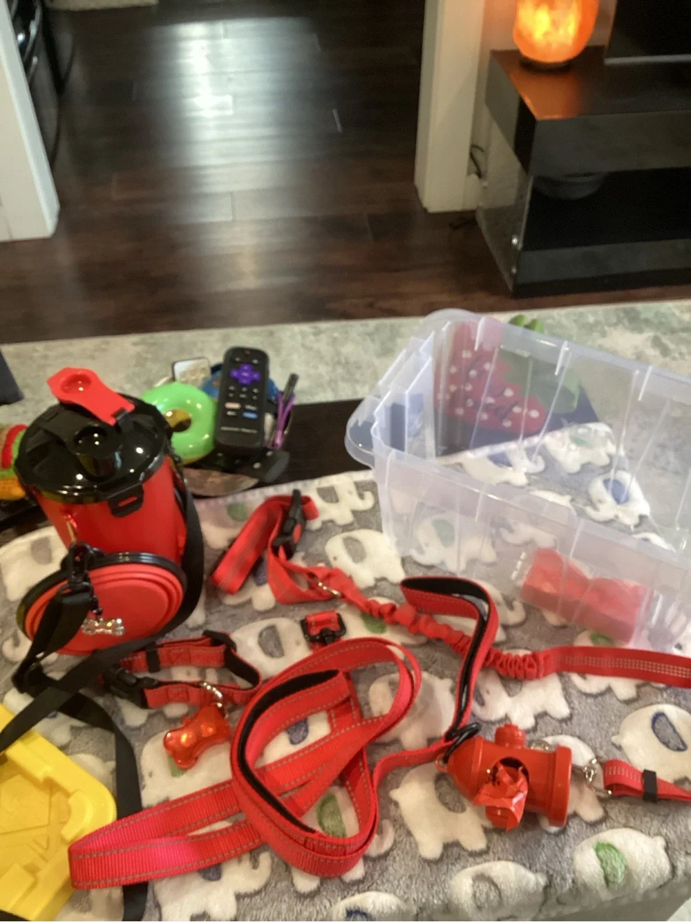 NWOT - Red Dog Leash and Accessory Set - Puppy Kit - BRAND NEW!!!!!!!!!